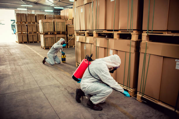 Best Affordable Exterminators  in Daleville, IN