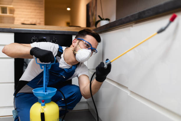 Best Flea Control Services  in Daleville, IN