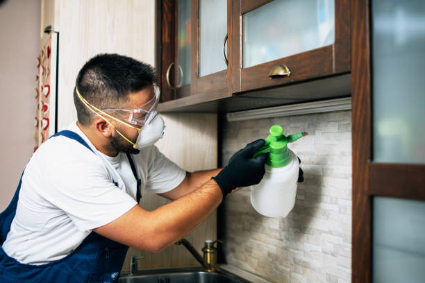 Pest Control for Restaurants in Daleville, IN
