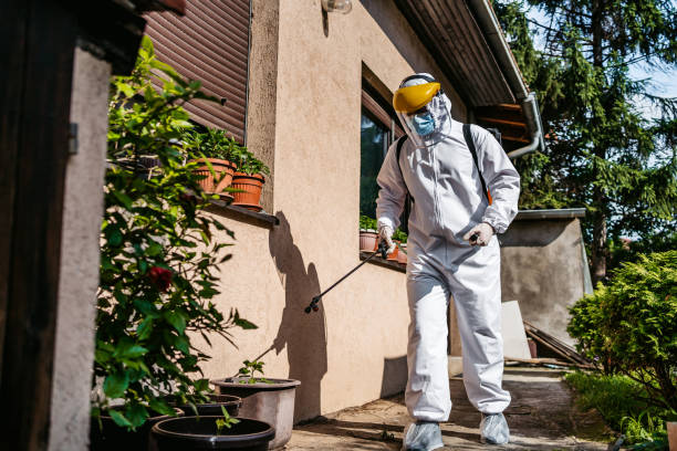 Best Best Pest Control Near Me  in Daleville, IN