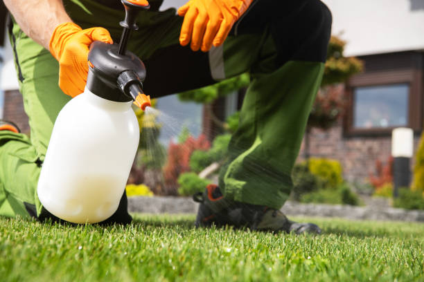 Pest Control Cost in Daleville, IN