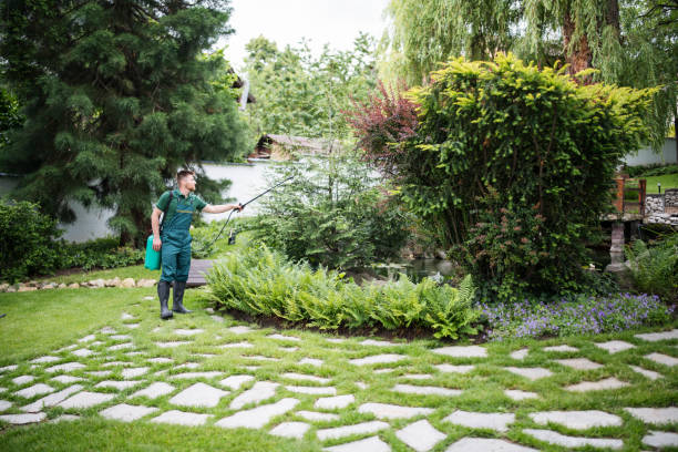 Best Affordable Pest Control Services  in Daleville, IN