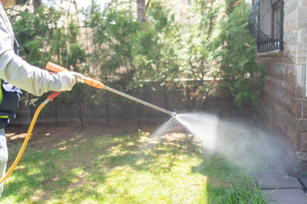 Best Exterminator Services  in Daleville, IN