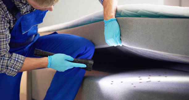 Best Pest Control Cost  in Daleville, IN