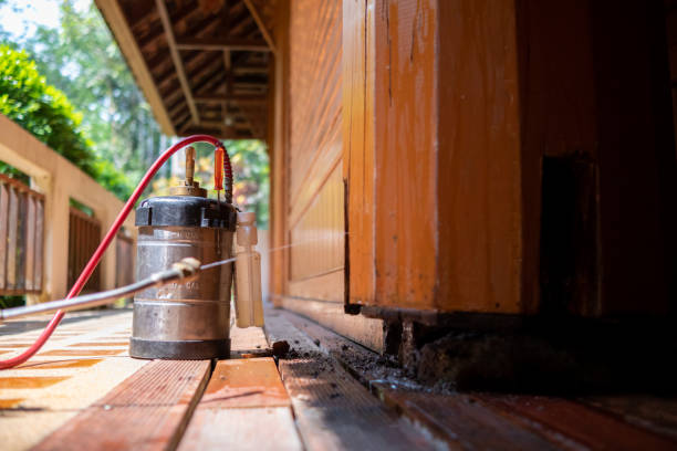 Best Pest Control for Restaurants  in Daleville, IN