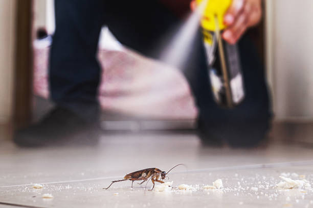 Best Pest Control Near Me in Daleville, IN