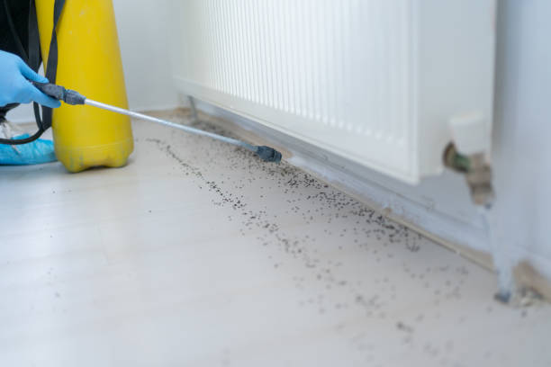 Best Pest Prevention Services  in Daleville, IN