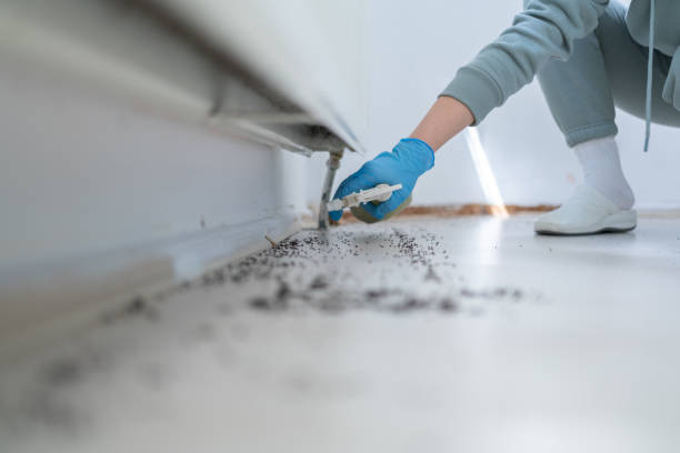 Best Residential Pest Control  in Daleville, IN